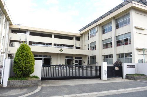 橿原市立金橋小学校の画像