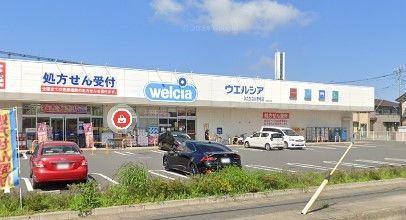 welcia(ウエルシア) ひたちなか市毛店の画像