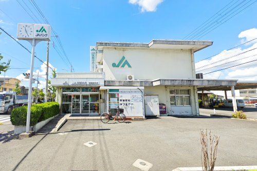 JA京都中央　羽束師支店の画像