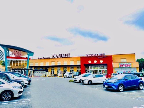 カスミ フードスクエア成田赤坂店の画像