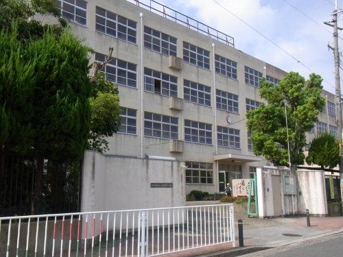 東大阪市立八戸の里東小学校の画像