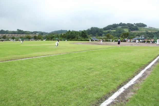 坂東橋緑地公園の画像