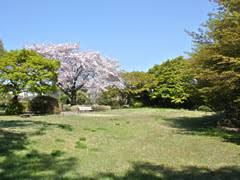 桜丘すみれば自然庭園の画像