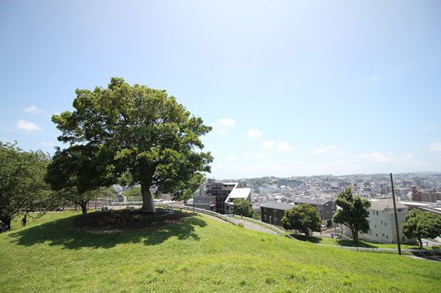 清水ヶ丘公園の画像