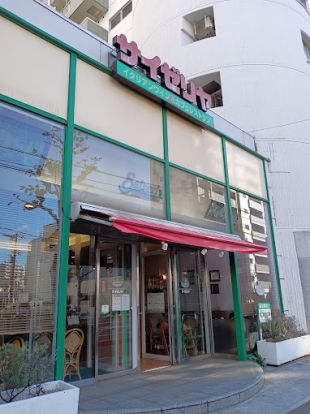 サイゼリヤ 東武曳舟店の画像