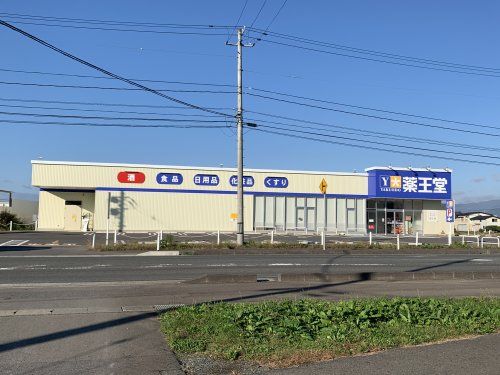 薬王堂 花巻高木店の画像