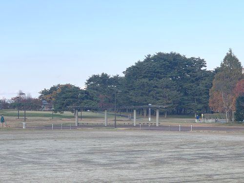 日居城野運動公園の画像