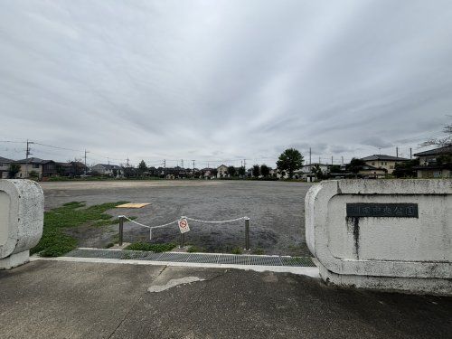 棚田中央公園の画像