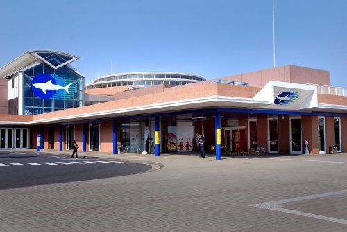 アクアワールド茨城県大洗水族館の画像