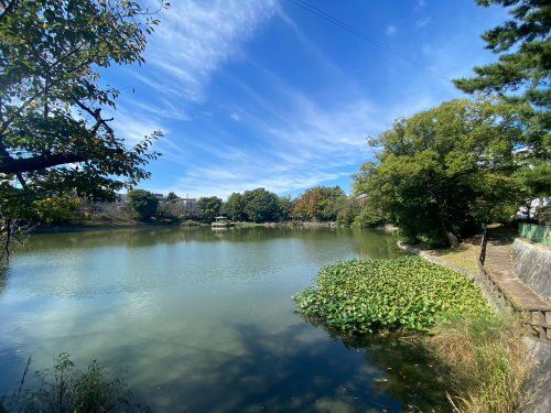 神丘公園の画像