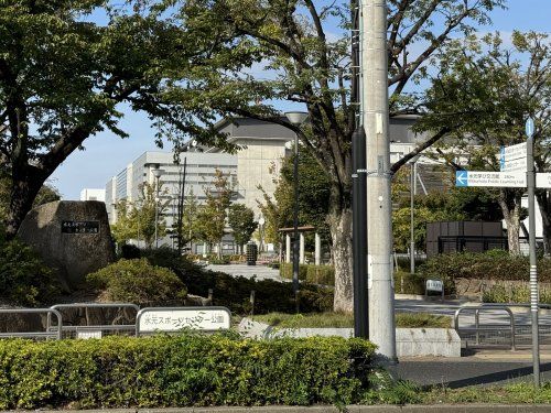 水元スポーツセンター公園の画像