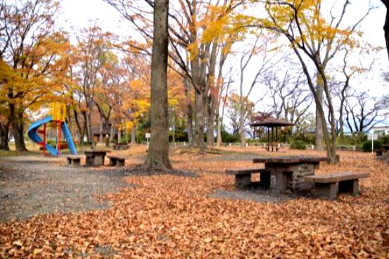 釜無川スポーツ公園の画像