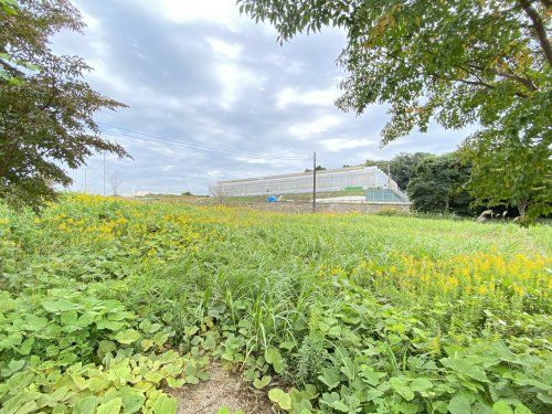 戸塚西公園の画像