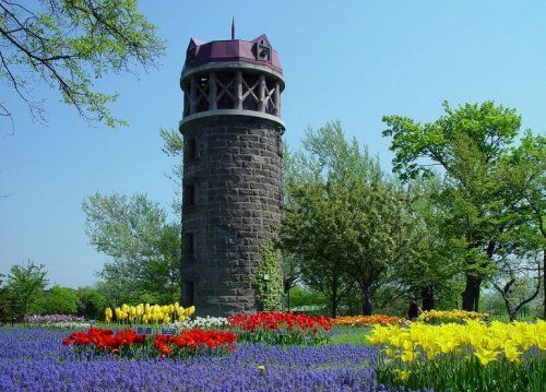 百合が原公園の画像