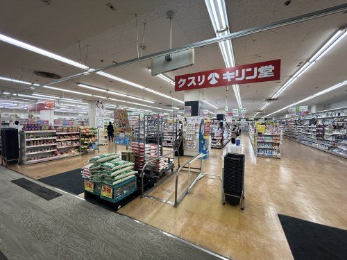 キリン堂 レインボー金岡店の画像