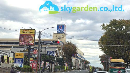 ホームセンターコーナン 湘南藤沢店の画像