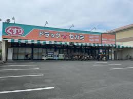 ドラッグセガミ 井高野店の画像