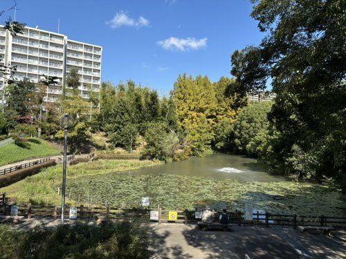 東丘小学校の画像