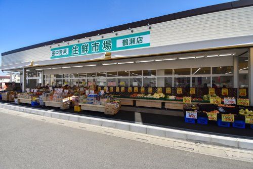 田中青果生鮮市場鶴瀬店の画像