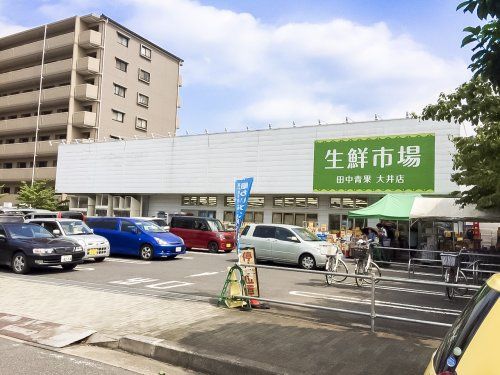 生鮮市場田中青果大井店の画像