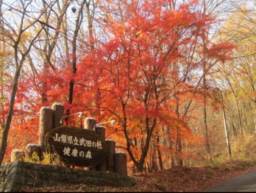 山梨県立武田の杜キャンプ場の画像