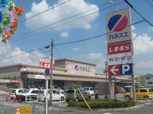 カネスエ 新生店の画像