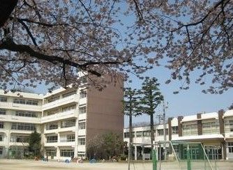 松戸市立小金小学校の画像