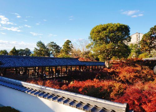 東福寺の画像