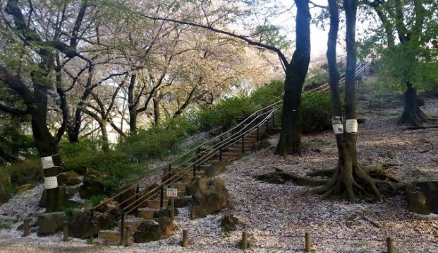 都立戸山公園大久保地区の画像