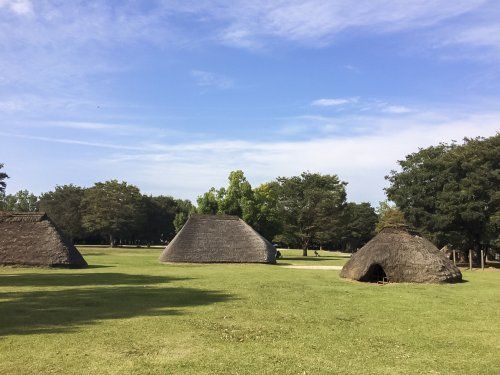 水子貝塚公園の画像