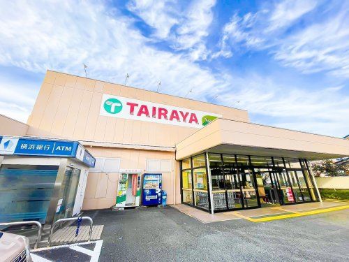 エコス TAIRAYA(タイラヤ) 城山店の画像