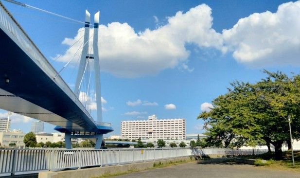 東雲水辺公園の画像