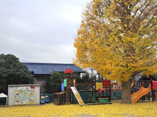 本源寺幼稚園の画像