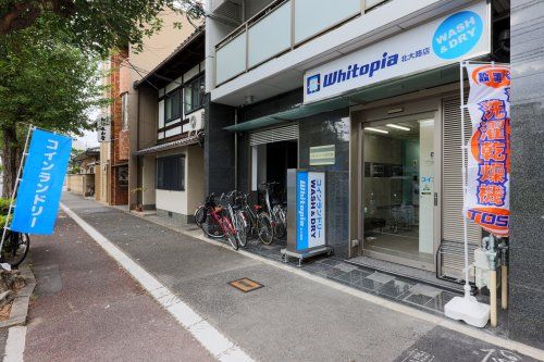 ホワイトピア北大路店の画像