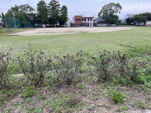 北部中央公園の画像