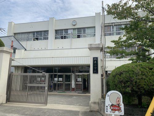 岩出市立根来小学校の画像