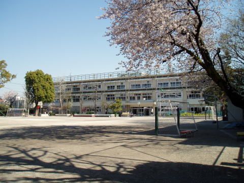 杉並区立松庵小学校の画像