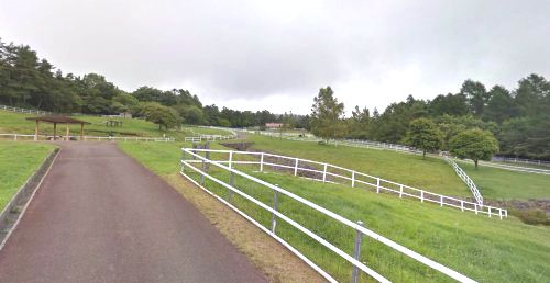 山梨県立 まきば公園の画像