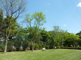 公園浅間第一公園の画像