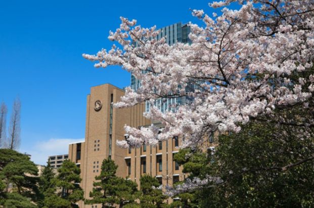 国立東北大学の画像