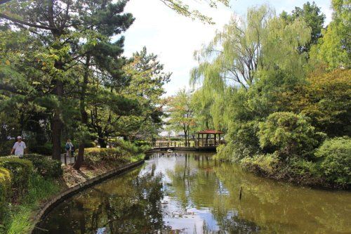 横十間川親水公園の画像