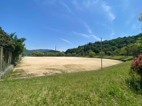 青山中央公園の画像