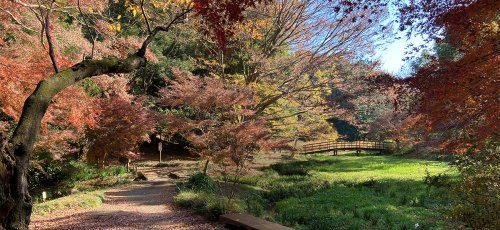 道保川公園のせせらぎと野鳥の声の画像