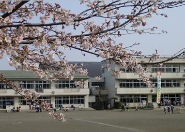 寄居町立用土小学校の画像