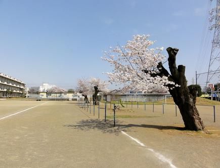 嵐山町立菅谷小学校の画像