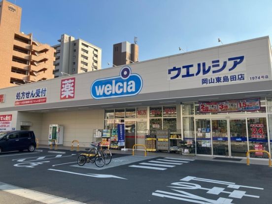 ウエルシア 岡山東島田店の画像