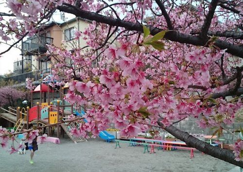 横浜黎明幼稚園の画像