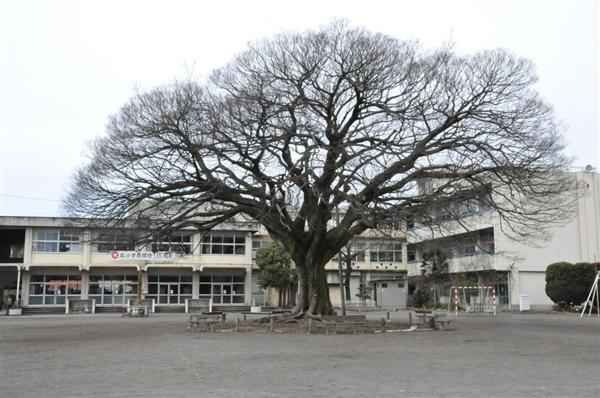 高崎市立北小学校の画像