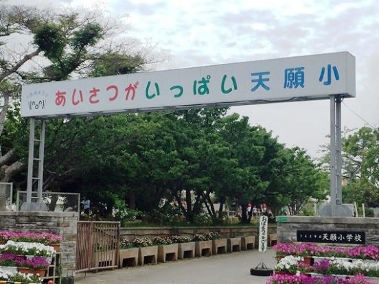 天願小学校の画像