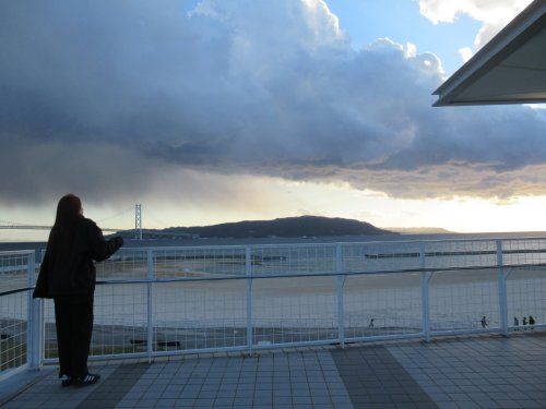 大蔵海岸海水浴場の画像